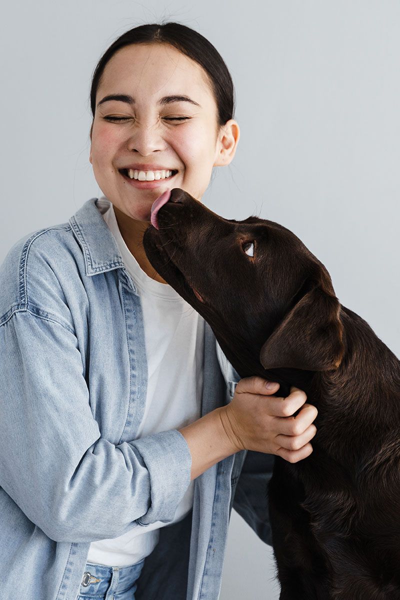happy girl plays with dog