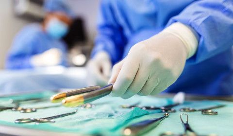 Why Specialized Surgery Matters for Your Pet
