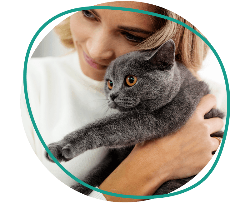 woman hugging her gray cat
