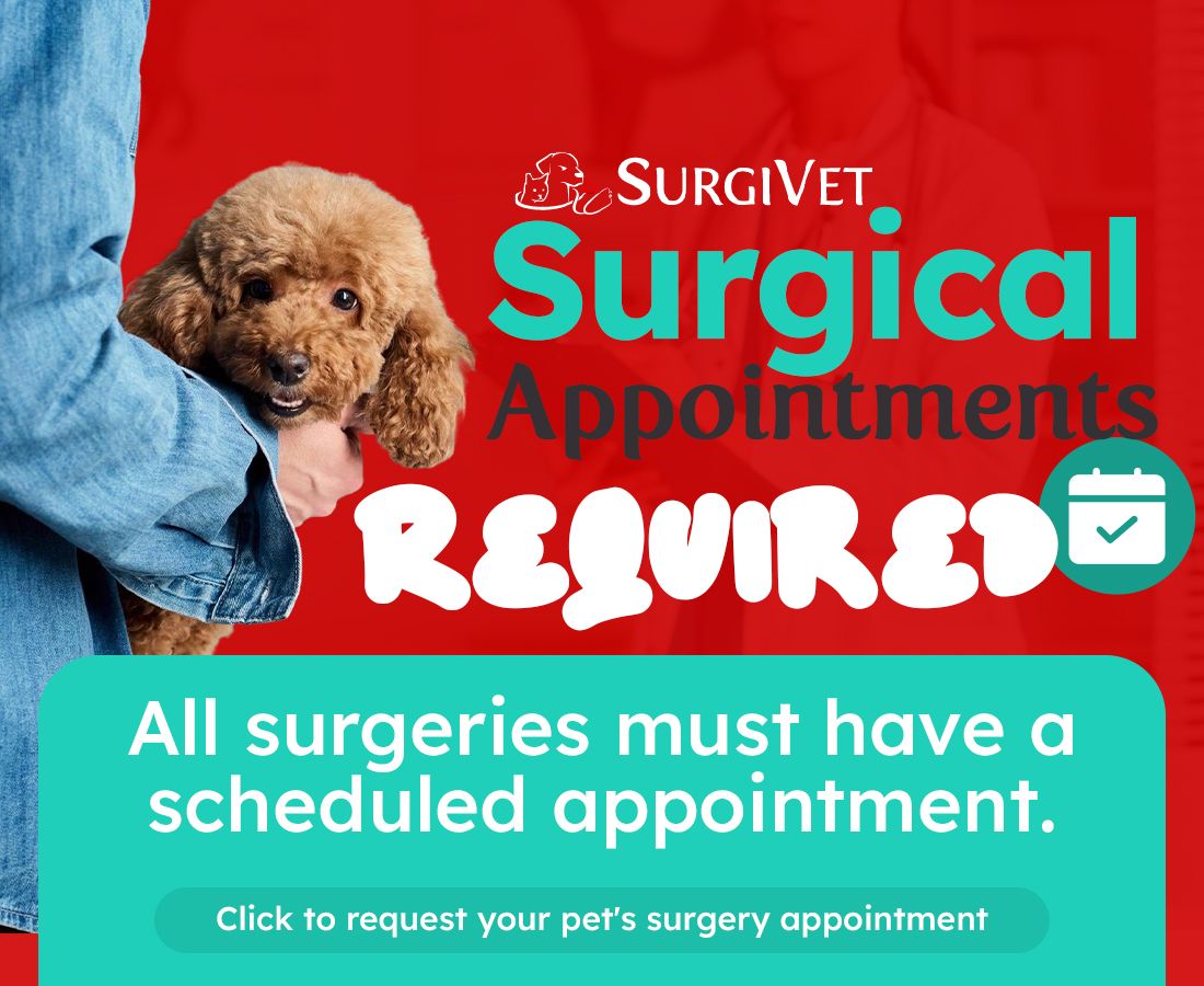 Pop-up announcing Park Road Animal Hospital will be closed Friday, July 4th in observance of Independence Day, featuring the Statue of Liberty and patriotic decorations.