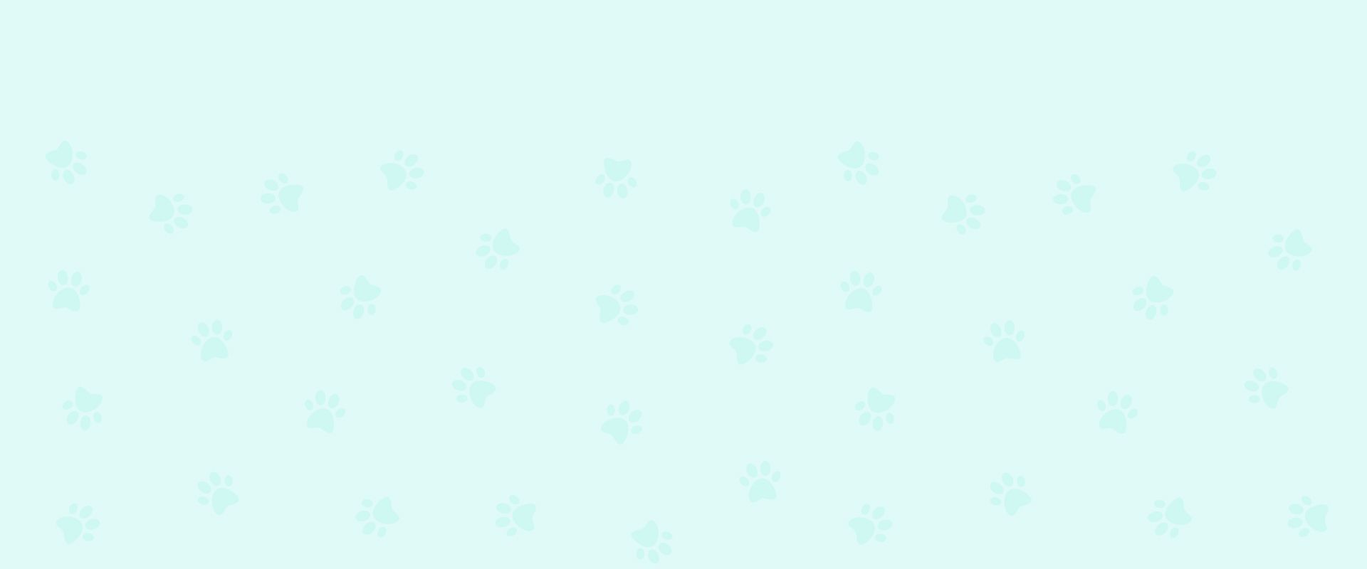 green paw print background